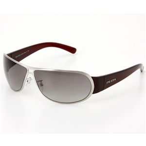 �v���_�T���O���X