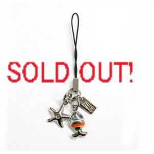 �R�[�`�g�уX�g���b�v