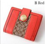 �R�[�`���z