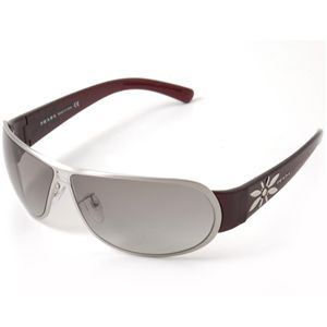 �v���_�T���O���X