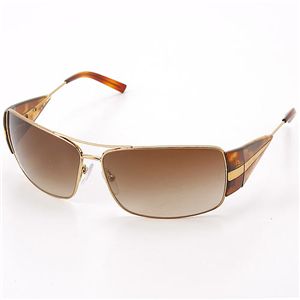 �v���_�T���O���X